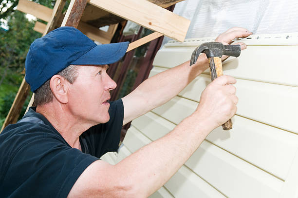 Best Siding Painting and Refinishing  in Crosspointe, VA