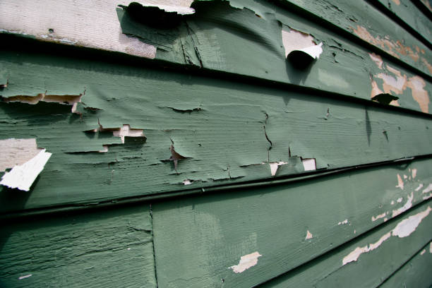 Siding for New Construction in Crosspointe, VA
