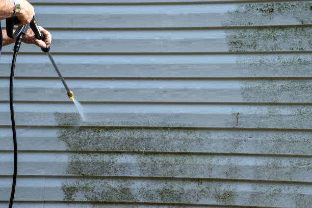 Best Composite Siding  in Crosspointe, VA